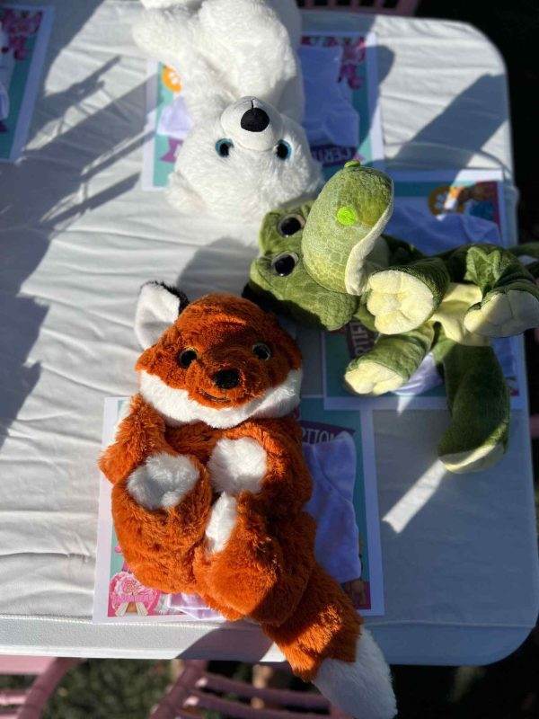 Stuffed animals, including a custom teddy bear and a dinosaur, positioned on a sunlit table with outdoor shadows.