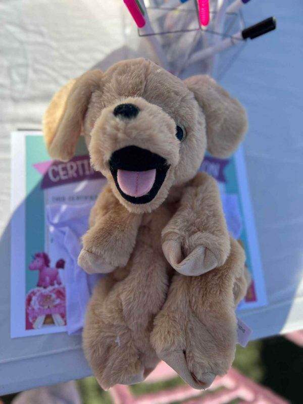 A plush toy dog hanging by clothespins on a line at a Build-A-Bear party, with a blurred background of a card labeled "certified cute.