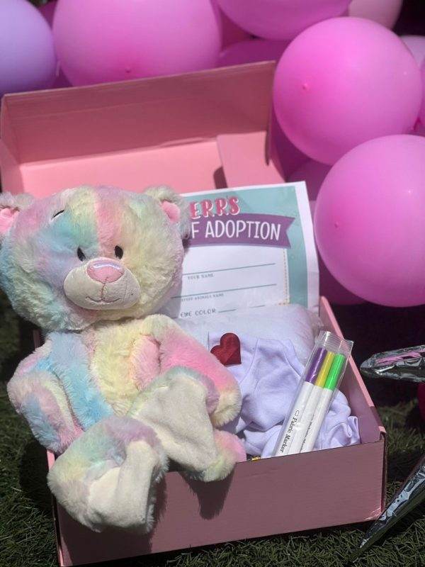 Colorful teddy bear with adoption certificate and accessories inside a Slime Party Box, surrounded by pink balloons on grass.