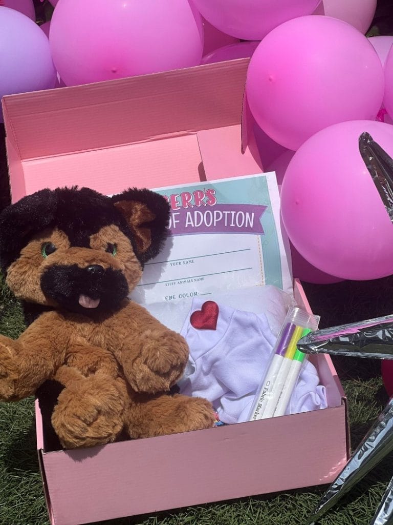 A Build-A-Bear plush teddy bear in a pink Slumber Party Box with a "certificate of adoption," surrounded by pink and purple balloons.