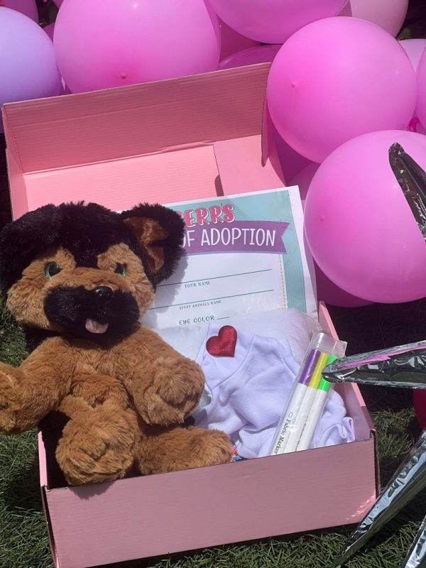 A plush toy dog in a pink box with a "peeps pet adoption" certificate, a white sweater, and grooming tools, surrounded by pink balloons and a Slime Party Box.